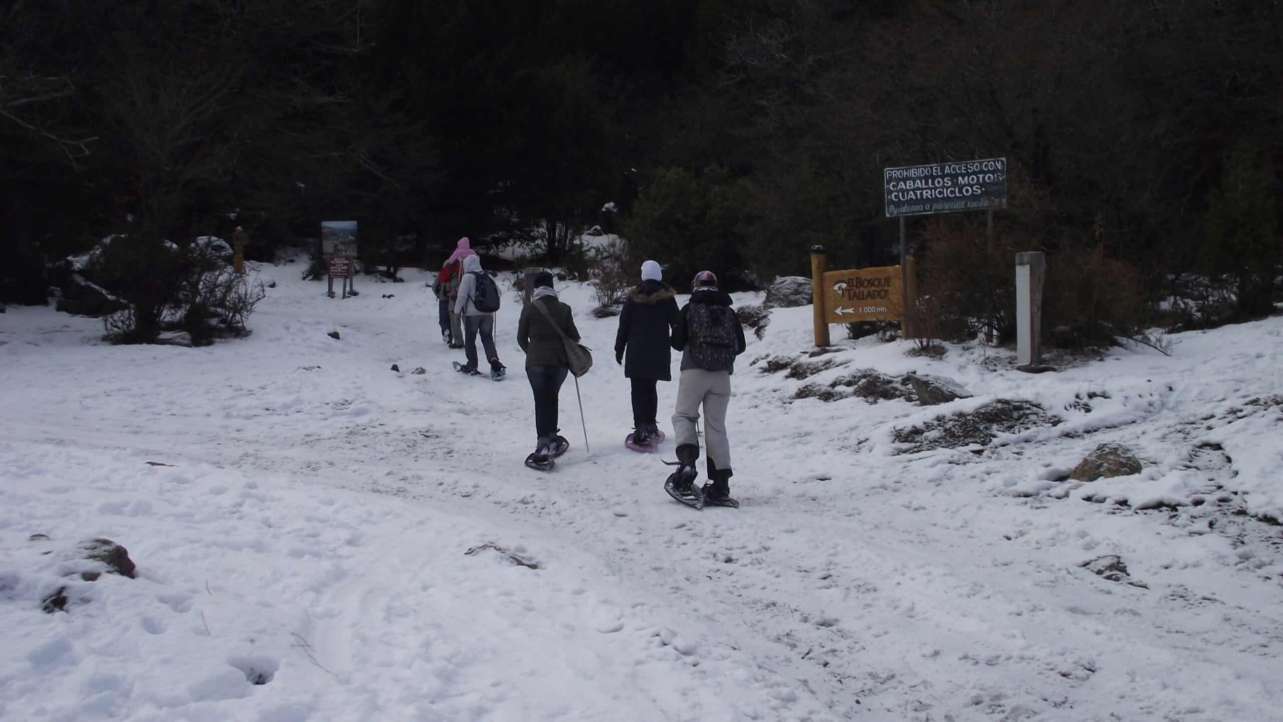 El Bosque Tallado — imagen 2
