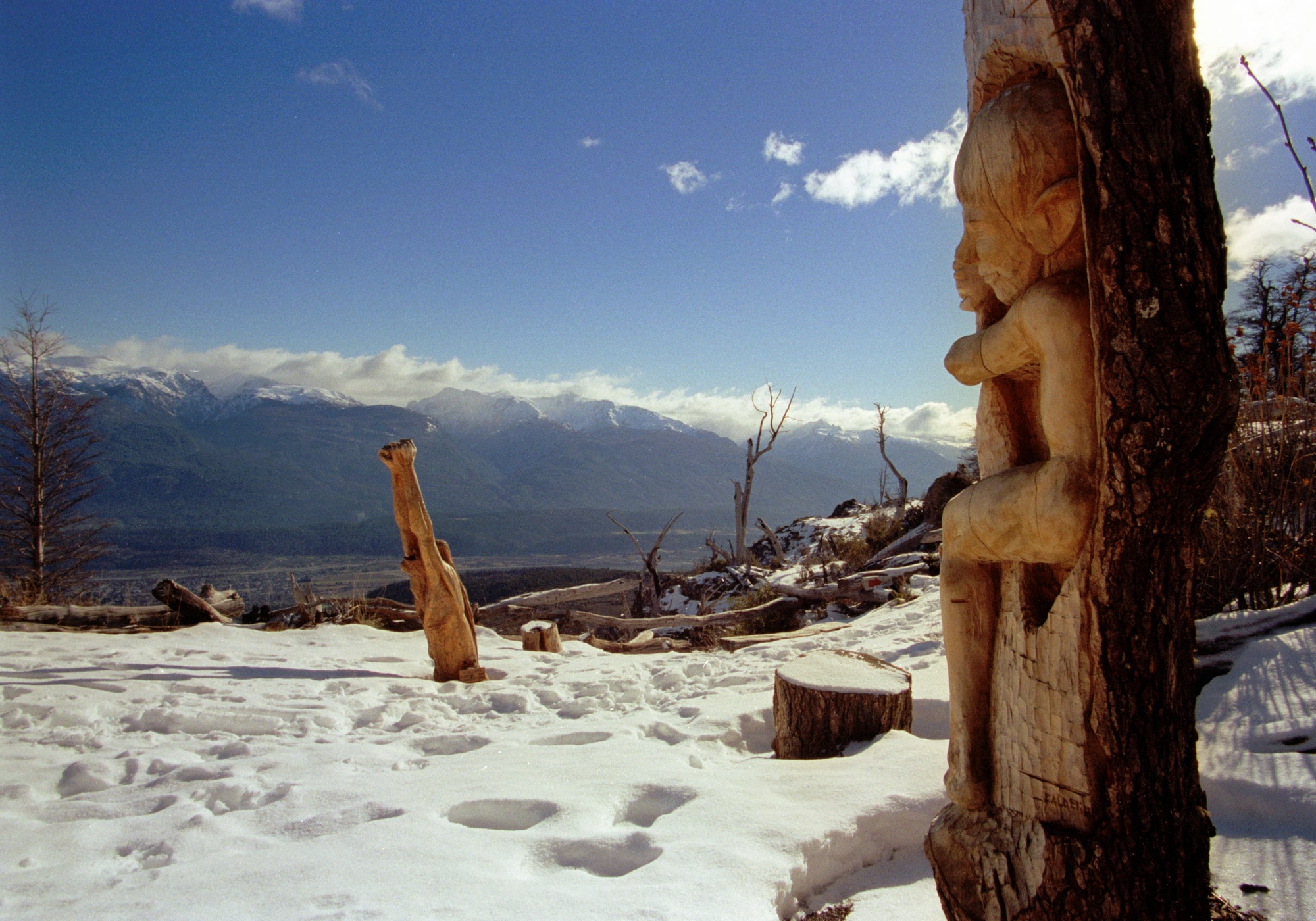 El Bosque Tallado — imagen 5