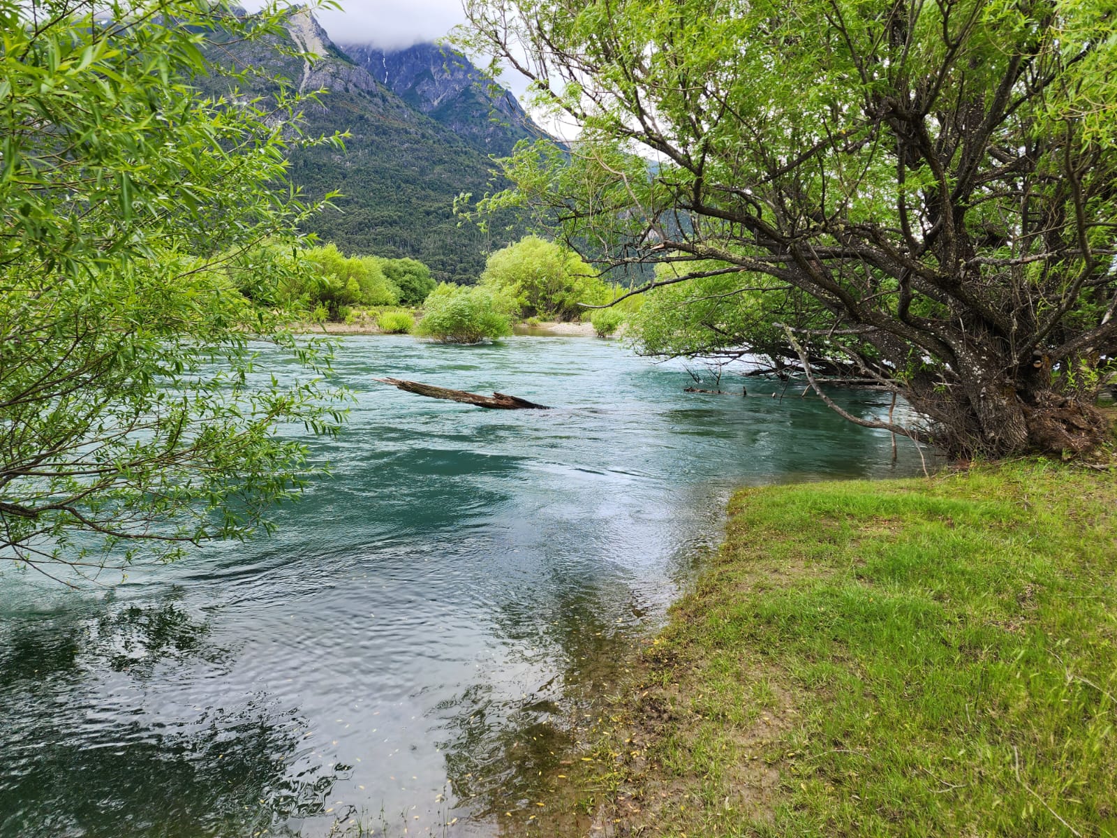 Laberinto Patagonia, Bodega Patagonian Wines Y El Desemboque — imagen 3