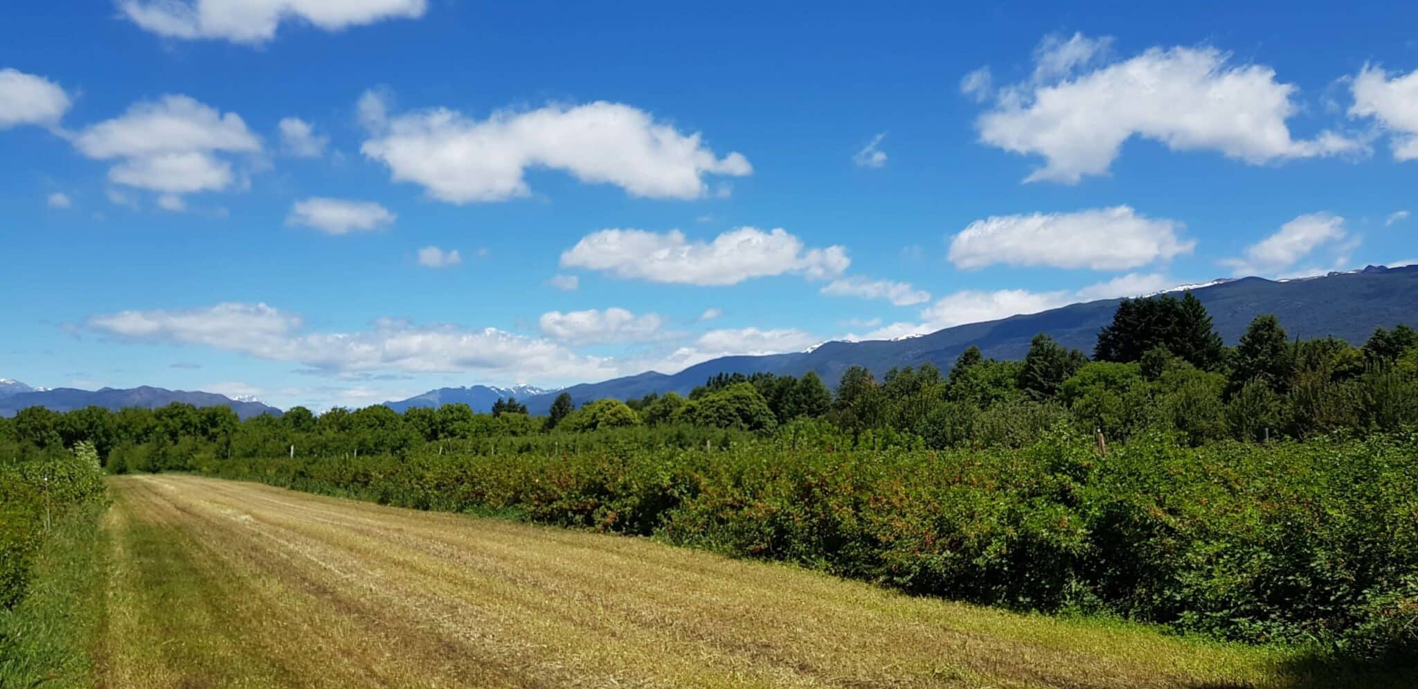 Sabores de la Comarca y Puerto Patriada — imagen 6