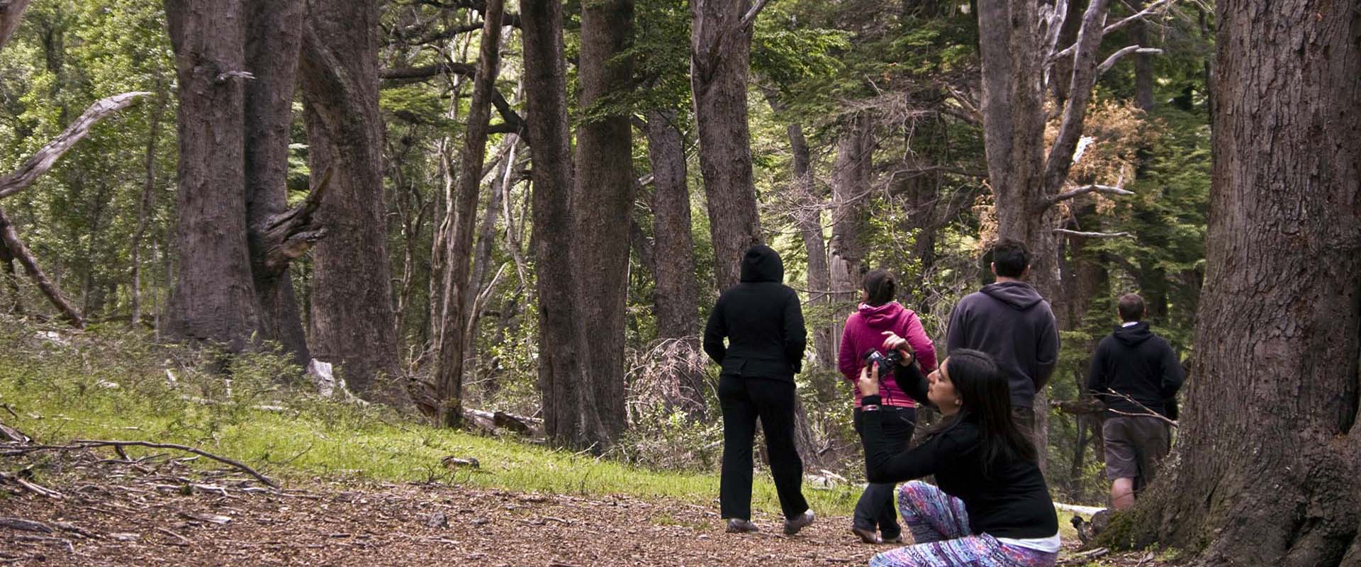 Trekking de Montaña