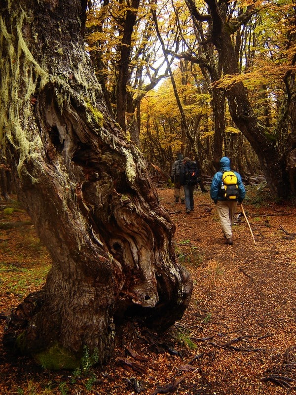 Trekking de Montaña — imagen 5