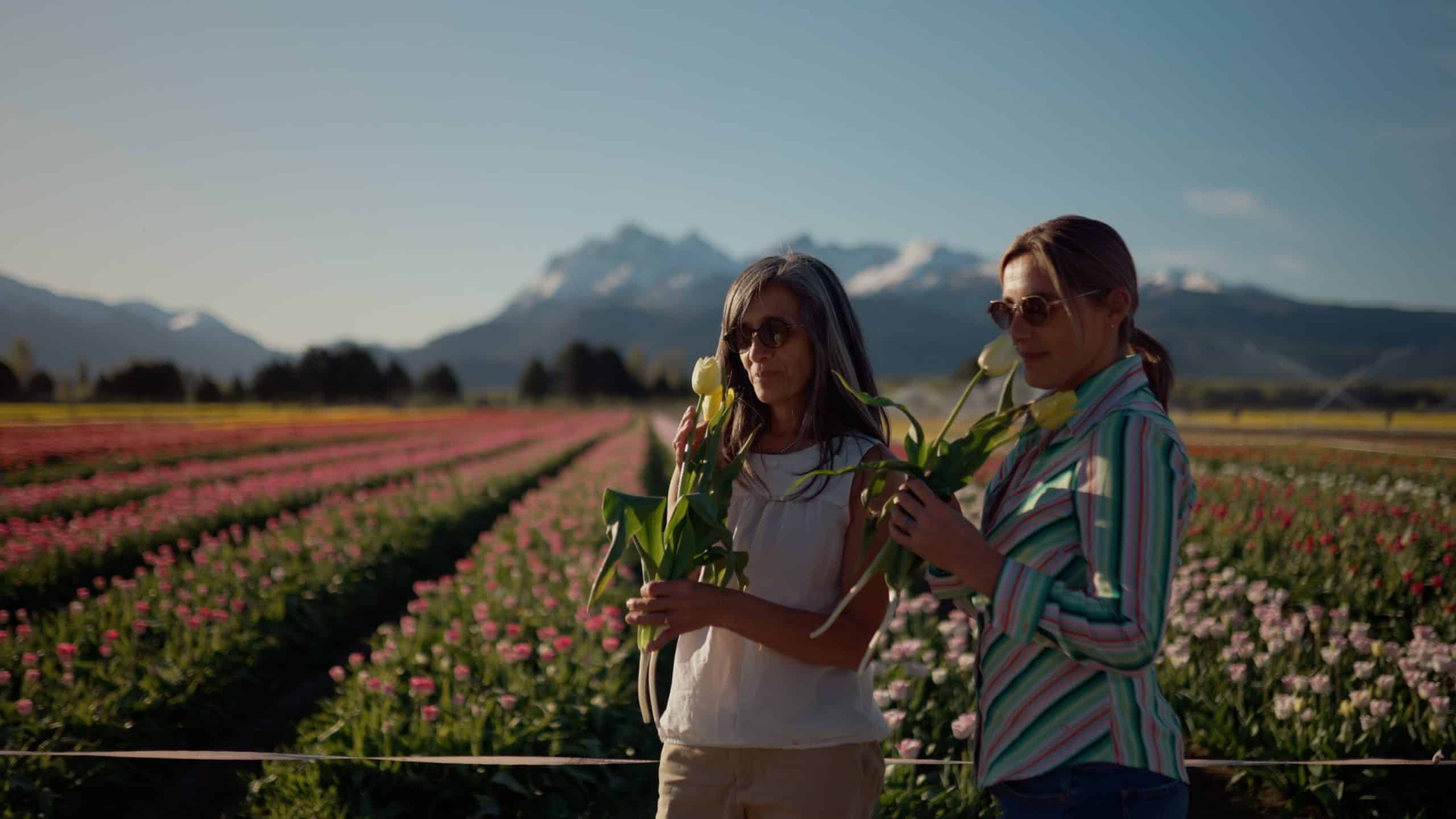 Tulipanes y mucho más — imagen 1